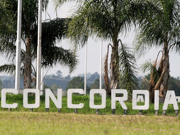 El Color de Concordia II 2014
