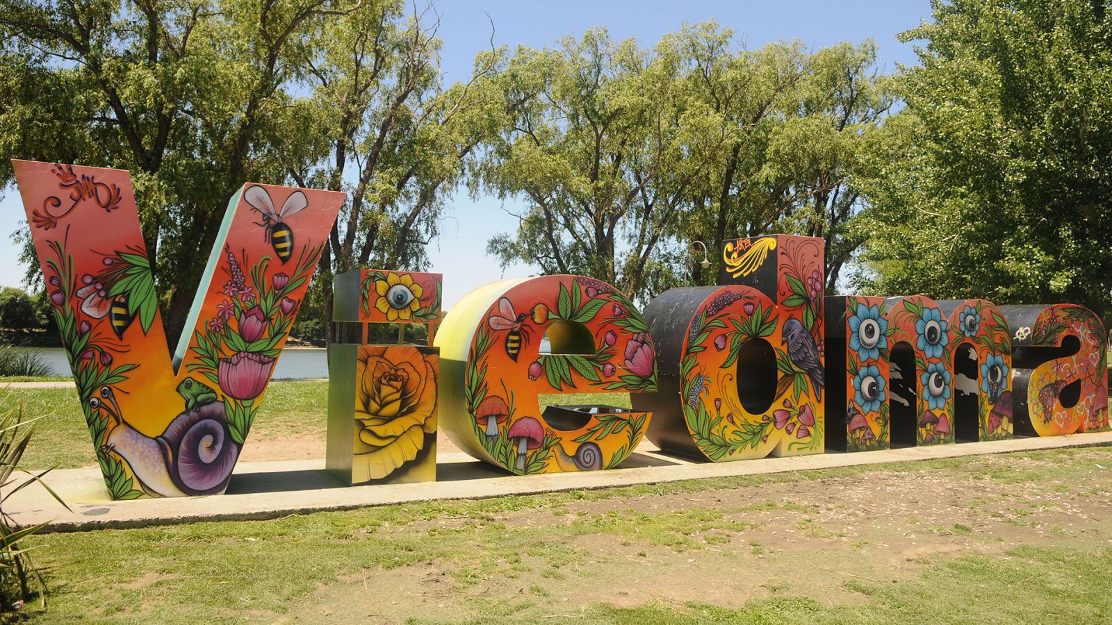 #TNenViedma, cronograma de actividades