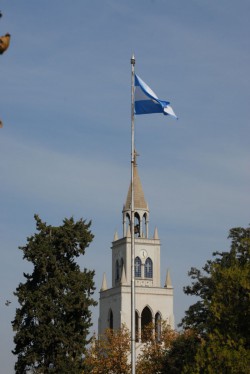 Imagen de galería