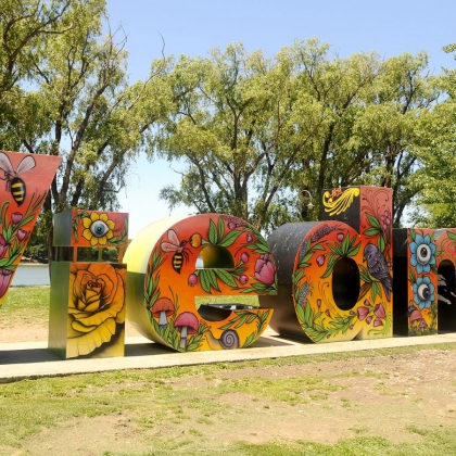Imagen de galería
